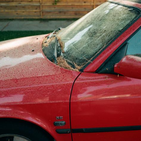 All the streets in our neighborhood were lined with cars, looking deserted, collecting dirt, webs and twigs.