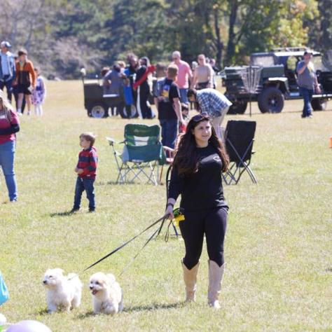 Woman walking dogs outside. 