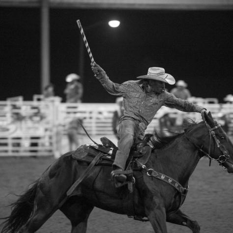 Black and white of man on a horse at rodeo. 