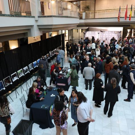 Arial view of people at event. 