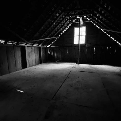 Inside my empty barn – time to build the studio of my dreams.